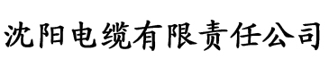 啊～嗯电缆厂logo